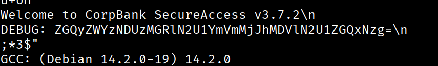 Debug String in Executable