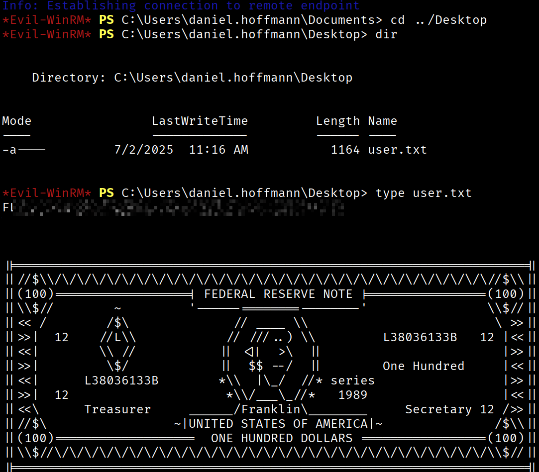 User Flag Capture
