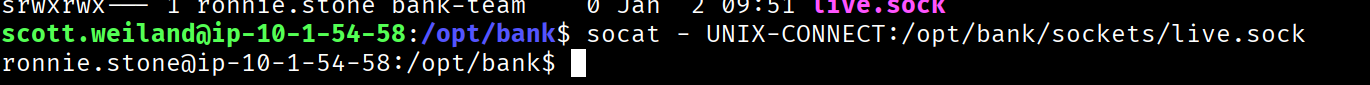 Successful shell as ronnie.stone via Unix socket