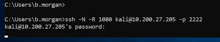 SSH tunnel established